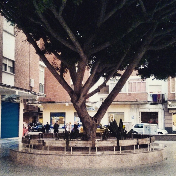 En el barrio Nuevo San Andrés, Málaga.